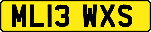 ML13WXS