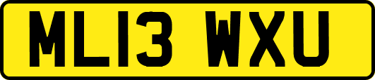 ML13WXU
