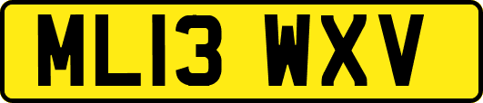 ML13WXV