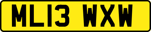 ML13WXW