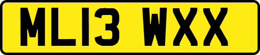 ML13WXX