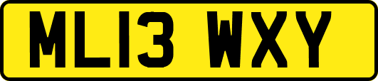 ML13WXY