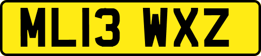 ML13WXZ