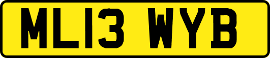 ML13WYB