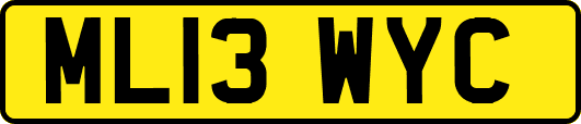 ML13WYC