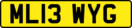 ML13WYG