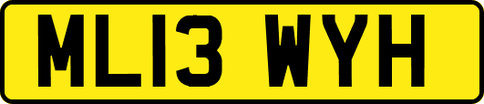 ML13WYH