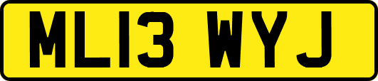 ML13WYJ