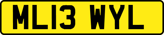 ML13WYL