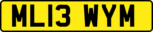 ML13WYM