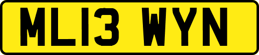 ML13WYN