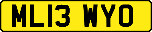 ML13WYO