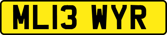 ML13WYR