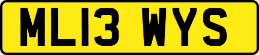 ML13WYS