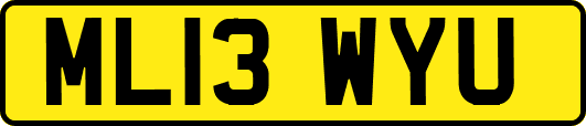 ML13WYU