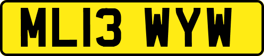 ML13WYW