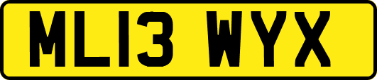 ML13WYX