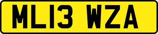 ML13WZA