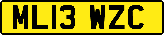 ML13WZC