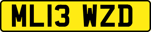 ML13WZD