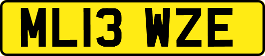 ML13WZE