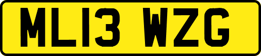 ML13WZG