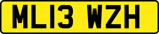 ML13WZH