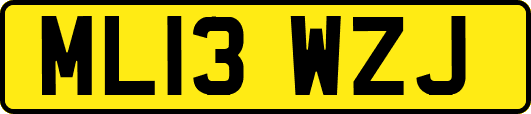 ML13WZJ