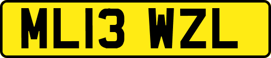 ML13WZL