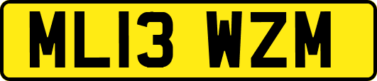 ML13WZM