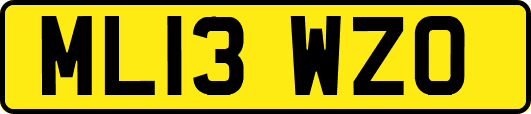 ML13WZO