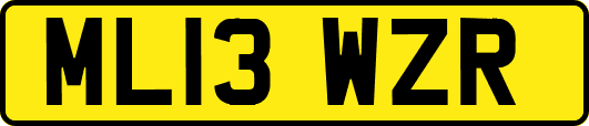 ML13WZR