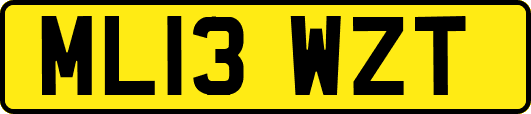 ML13WZT