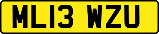 ML13WZU