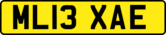 ML13XAE