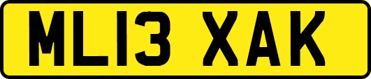 ML13XAK
