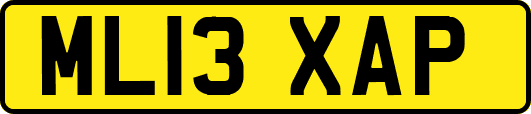 ML13XAP