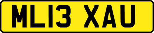 ML13XAU
