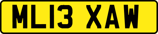 ML13XAW