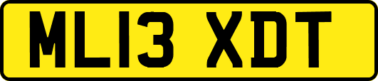 ML13XDT