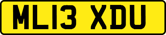 ML13XDU