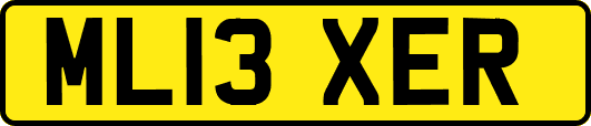 ML13XER