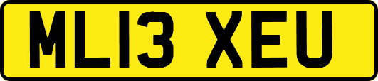 ML13XEU