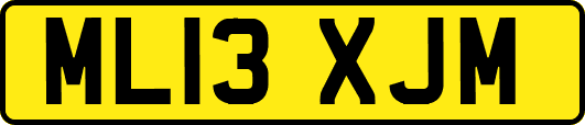 ML13XJM