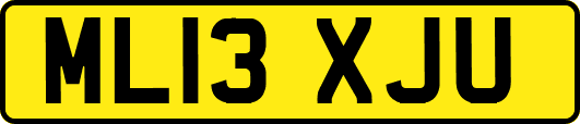 ML13XJU