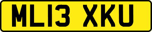 ML13XKU