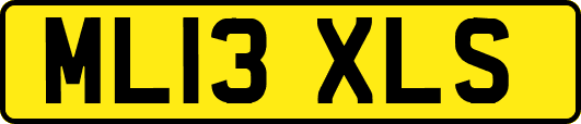 ML13XLS