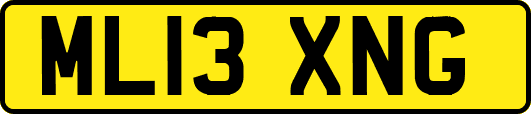 ML13XNG