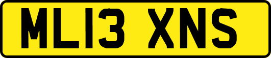 ML13XNS