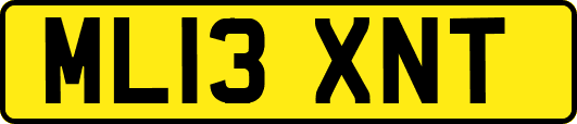 ML13XNT